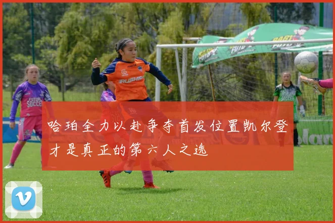 哈珀全力以赴争夺首发位置凯尔登才是真正的第六人之选
